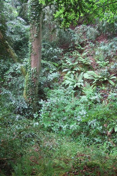 2011-05- (423).JPG